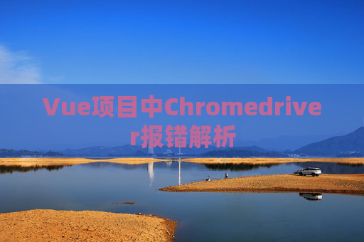 Vue项目中Chromedriver报错解析